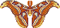 small pixel of an atlas moth
