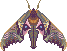 small pixel of a blinded sphinx moth