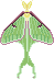 small pixel of a luna moth